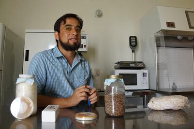 Biólogos impulsan el cultivo de hongos comestibles en Oaxaca