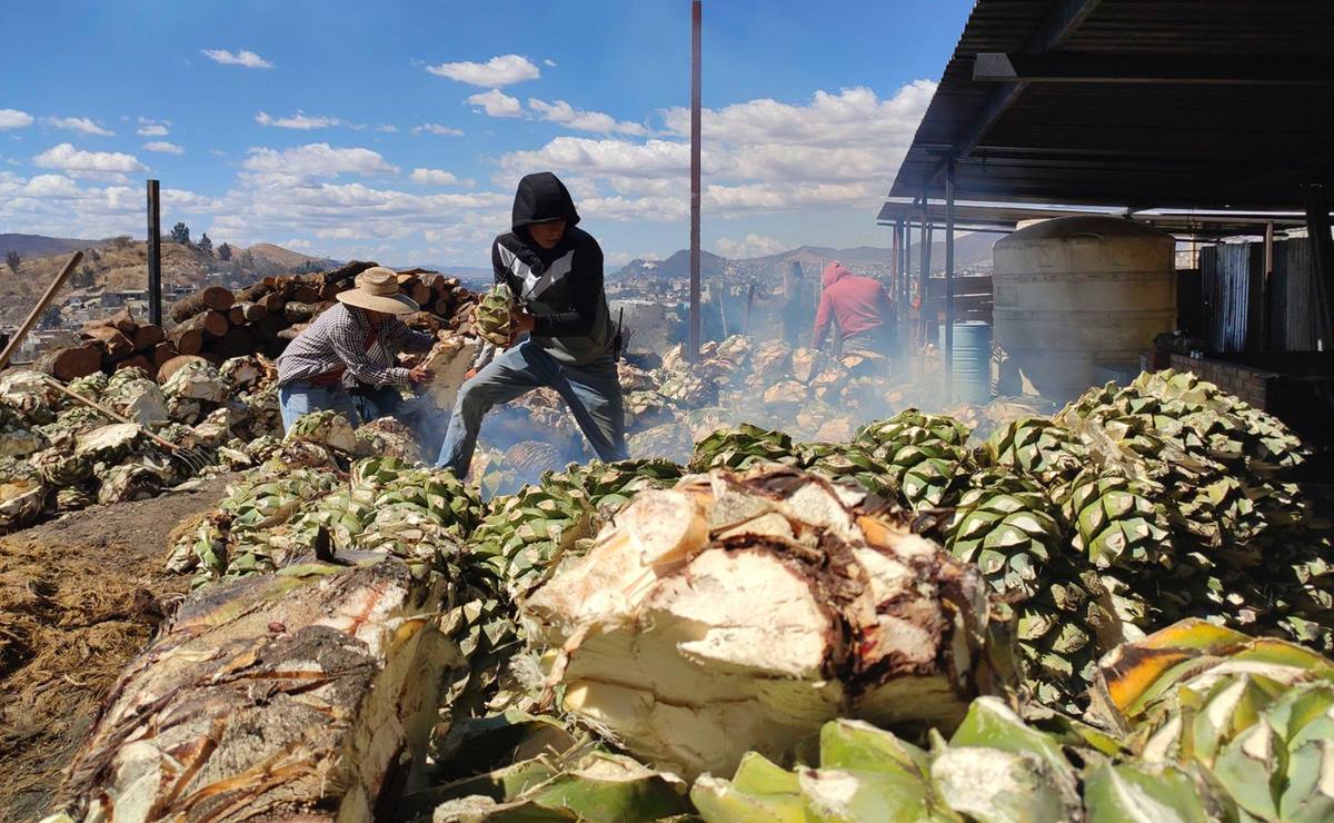 Foto: Mario Arturo Martínez