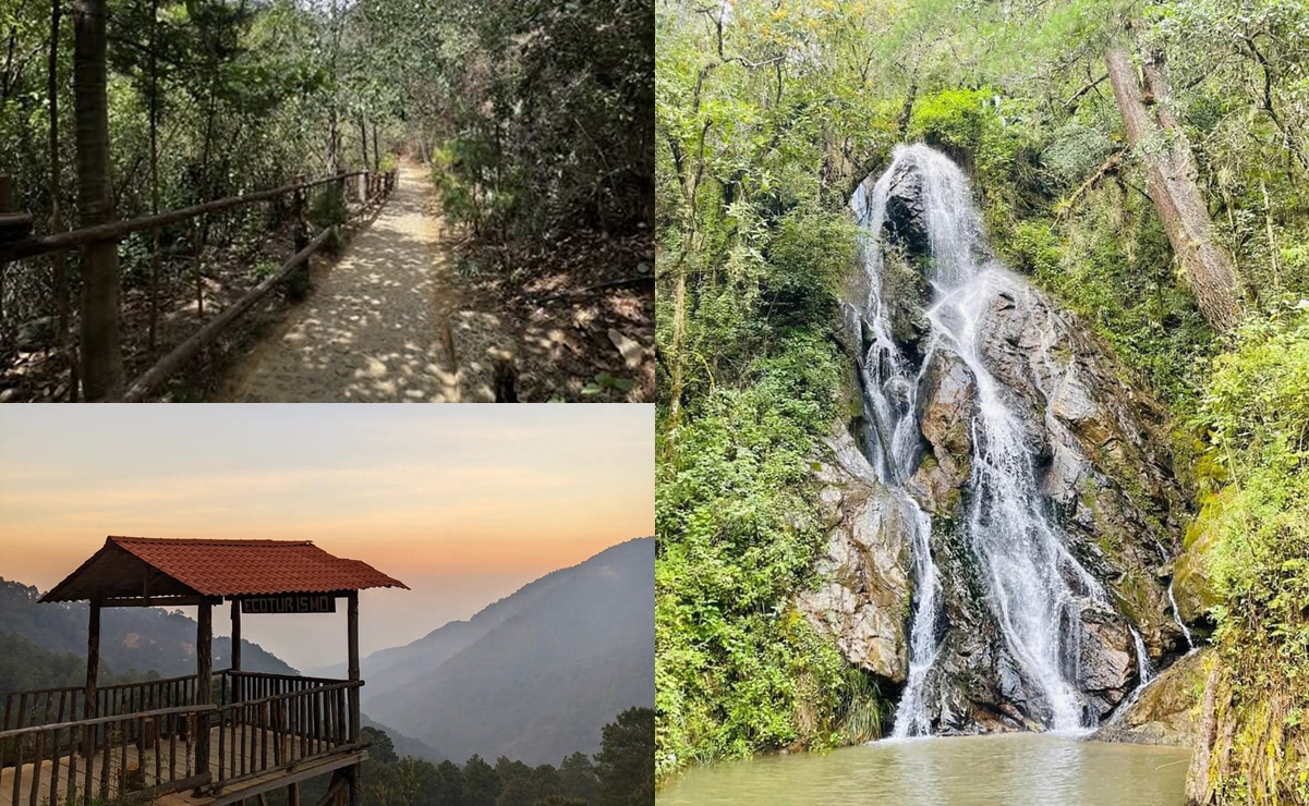 Tesoro natural en Oaxaca: cascada y árboles majestuosos te esperan a menos de una hora de la capital