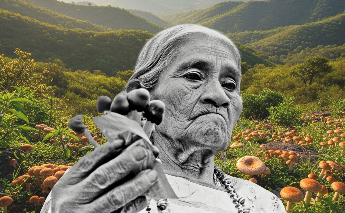 ¿Quién fue María Sabina, la chamana mazateca que curaba con hongos sagrados en Oaxaca?