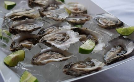 Levantan veda para consumo de ostiones en Salina Cruz, Oaxaca; mantienen restricción en Playa Colorada