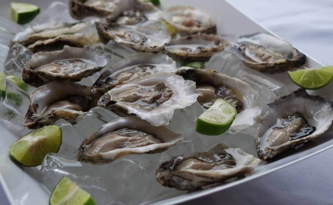 Se encontró flora algal nociva o toxinas por debajo de los límites permisibles. Foto: Archivo El Universal
