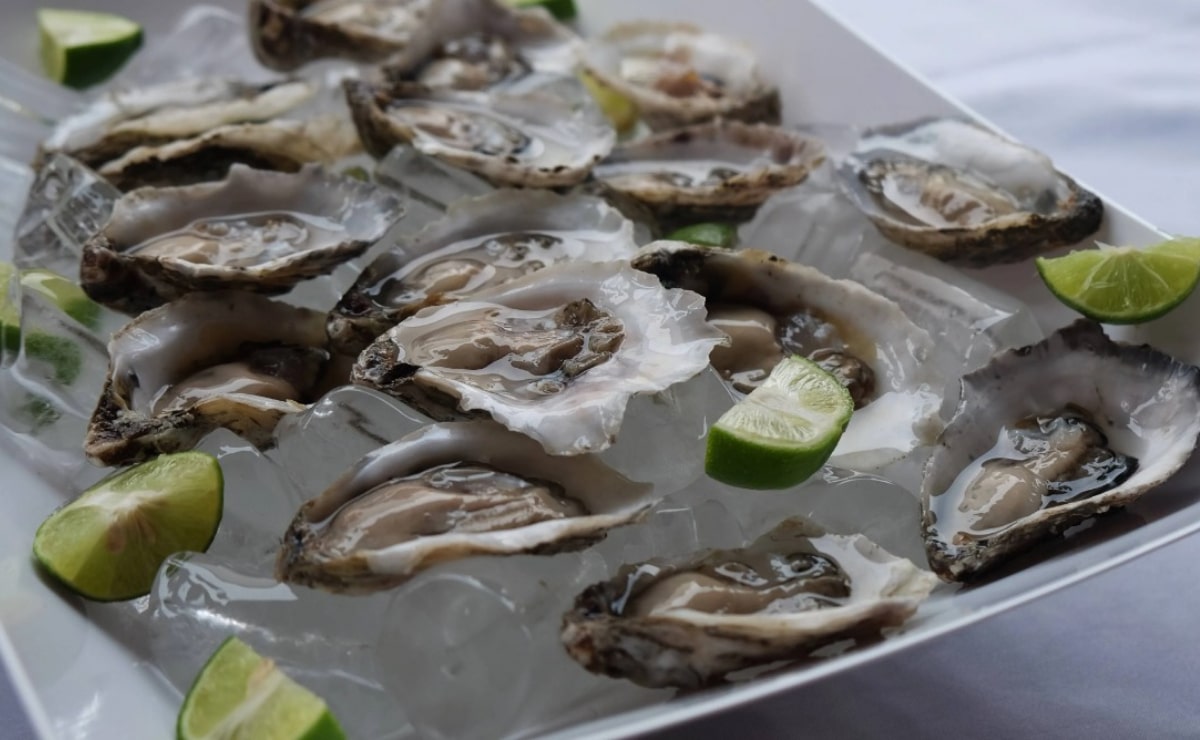 Levantan veda para consumo de ostiones en Salina Cruz, Oaxaca; mantienen restricción en Playa Colorada
