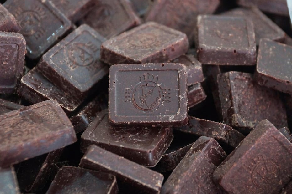 Foto: Edwin Hernández EL UNIVERSAL