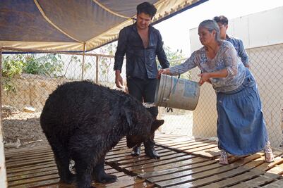 Familia: la vida tras los circos y los escenarios