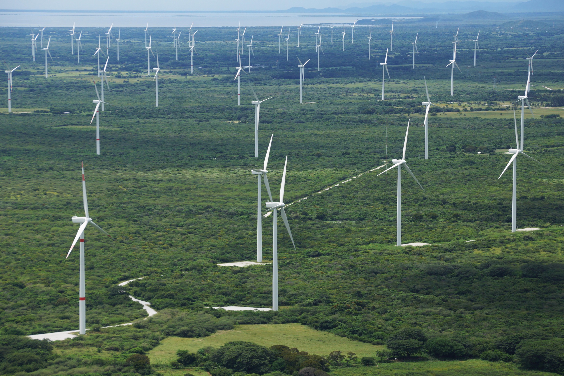 Organizaciones indígenas de Oaxaca y Yucatán rechazan mesas sobre electricidad y gas natural