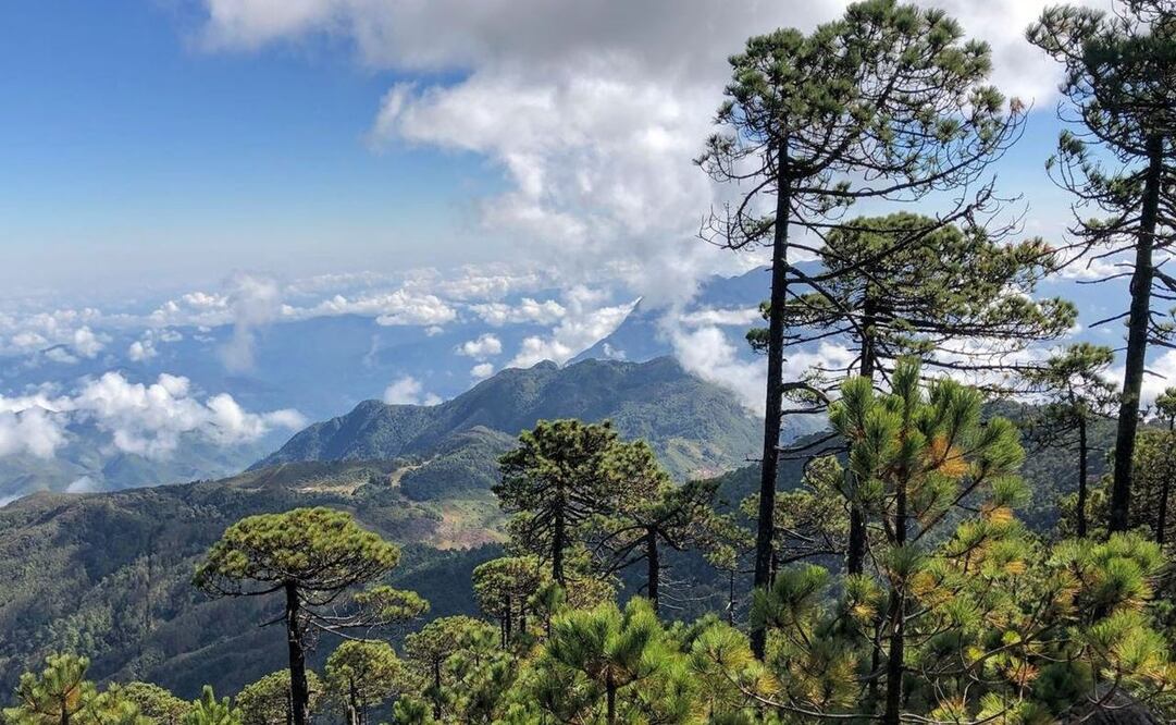 Foto: Tomada de Twitter