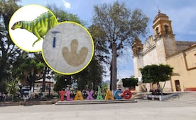 ¿Cómo se llama el municipio de Oaxaca donde existieron dinosaurios?