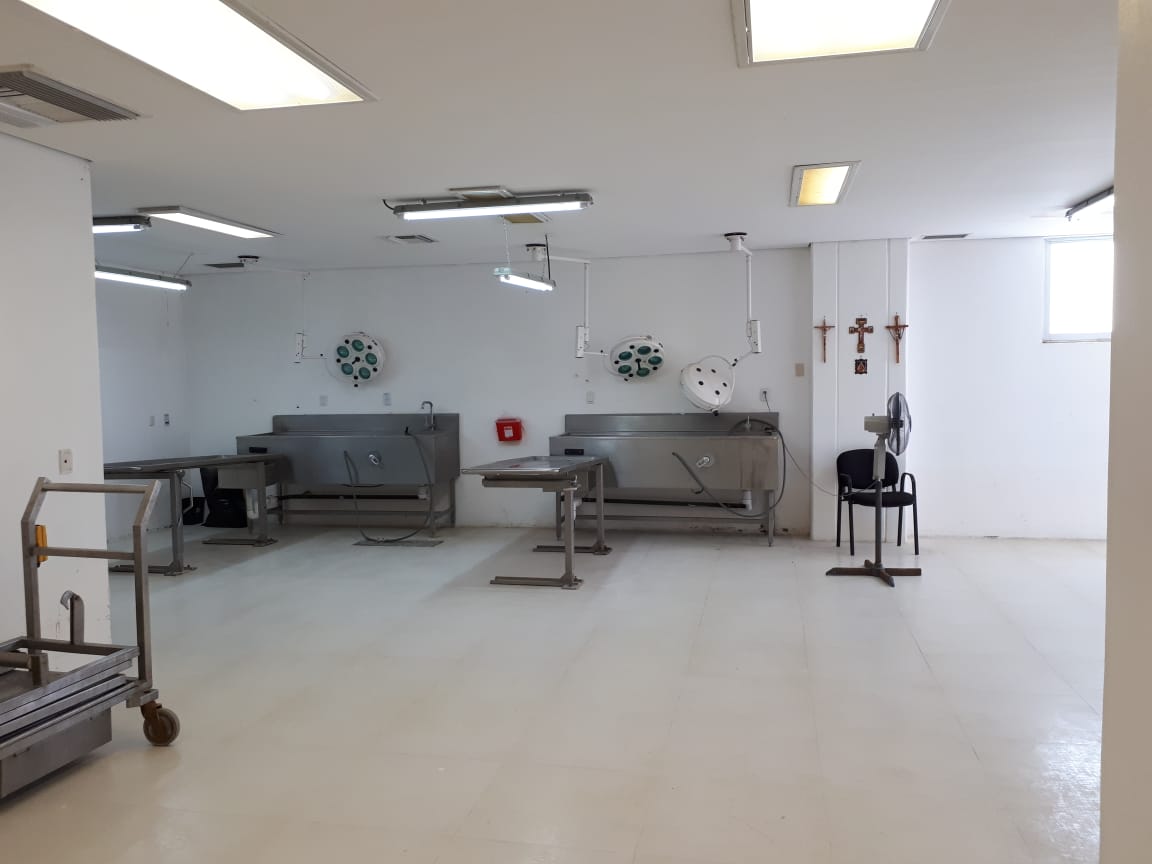 Reporta Oaxaca Semefo sin saturación