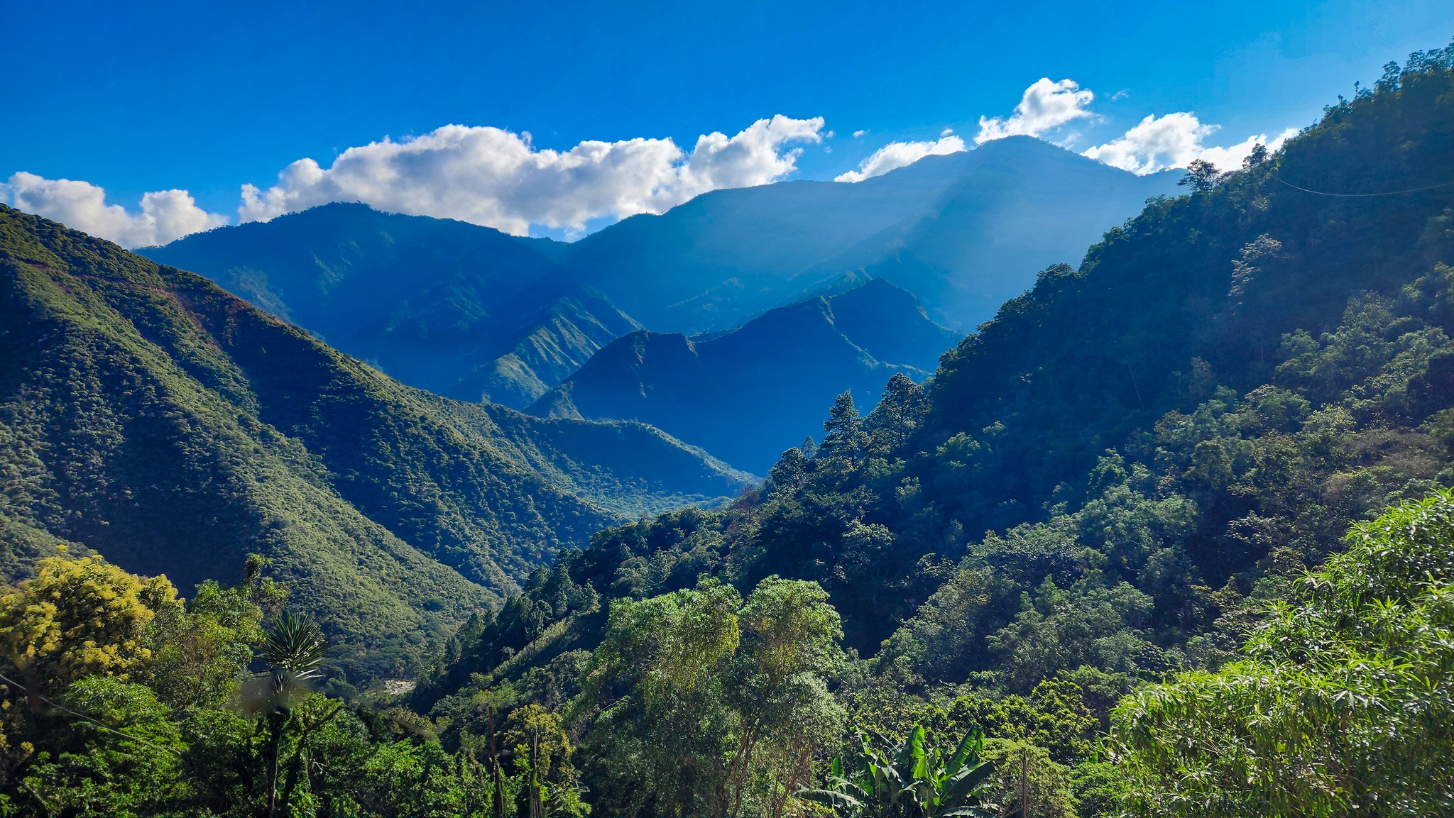 Foto: Facebook Luis Stevens.