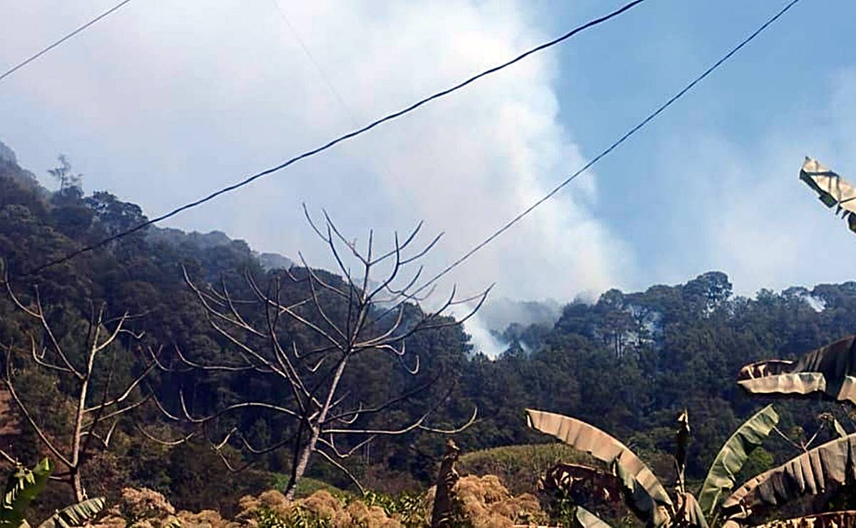 Se reactiva incendio que consume bosques de 6 pueblos triquis en la Mixteca de Oaxaca