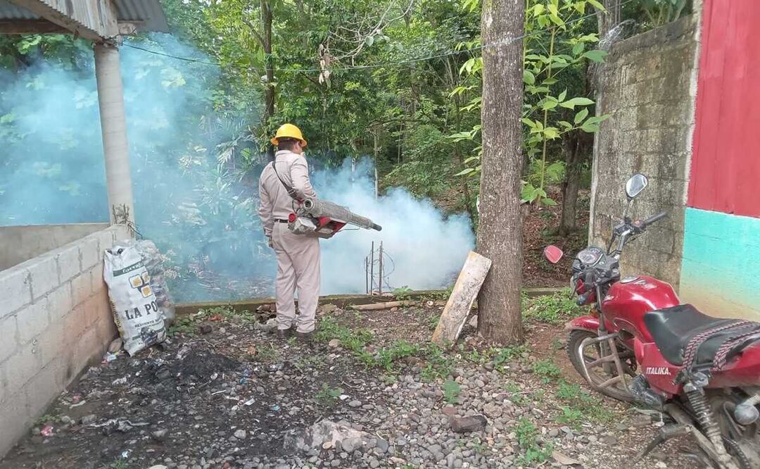 Advierten aumento de dengue en la Cuenca de Oaxaca; 436 casos esperan confirmación. Foto: Especial