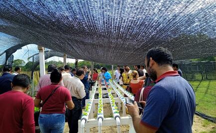 Desde Oaxaca, llaman pueblos indígenas al gobierno de México a defender maíz nativo