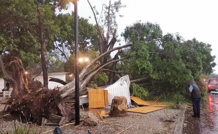 Se esperan tormentas, lluvias y actividad eléctrica en 4 regiones de Oaxaca