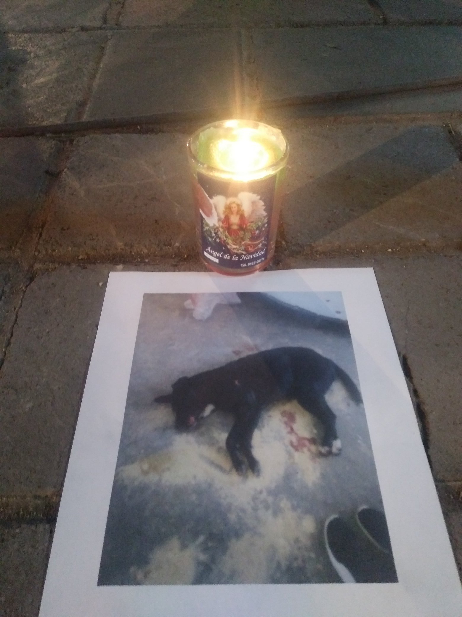 Carnicero asesina a cuchilladas a una perrita en mercado de Villa de Etla