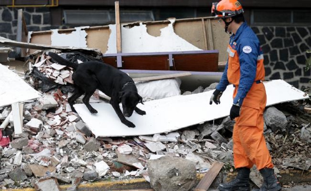 ¿Cuánto costará reconstruir los 7 estados afectados por el sismo?