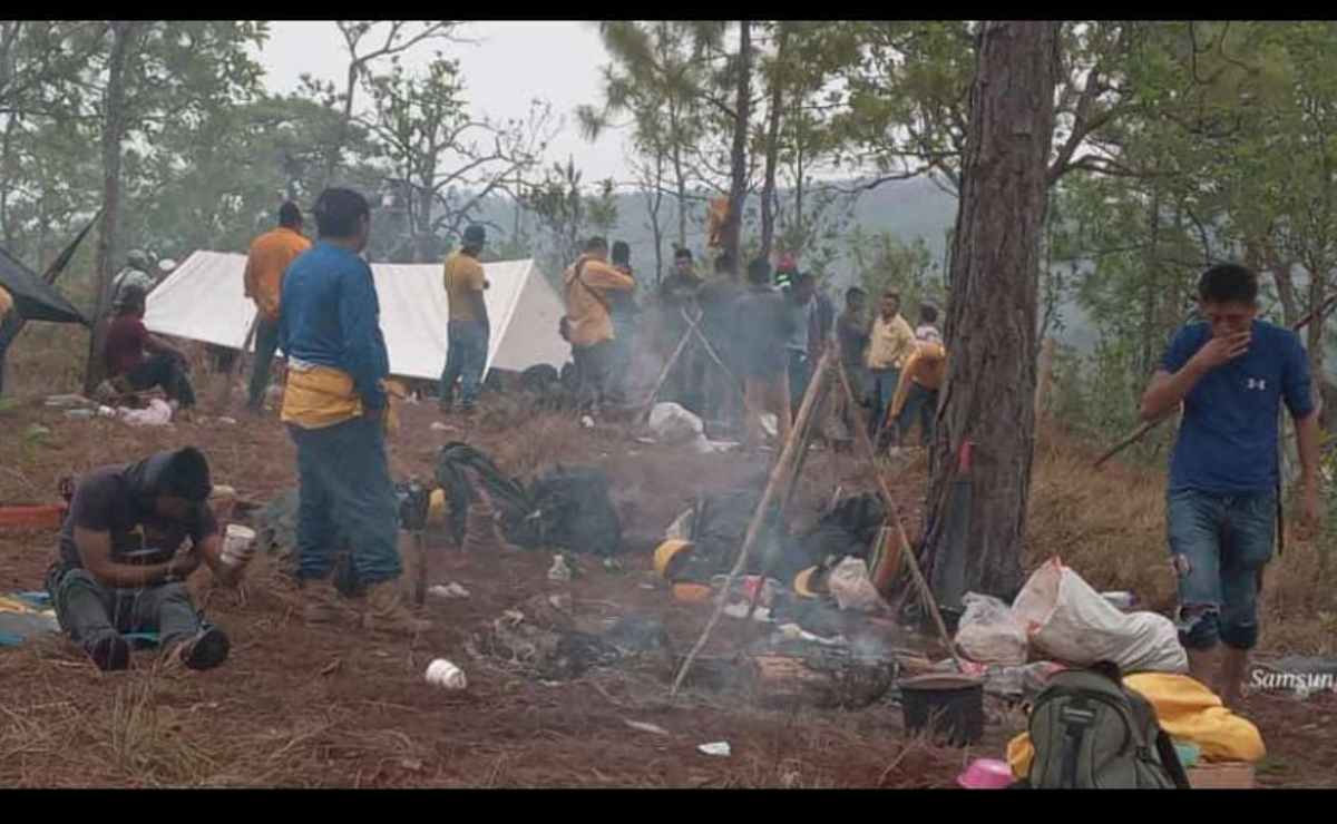 Comuneros se declaran "rendidos" ante incendios forestales en Santa María Chimalapas