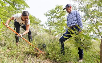 Plantan mil 800 árboles en el Cerro del Fortín; buscan revertir daños de  urbanización en Oaxaca