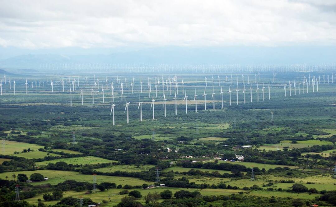 Foto: Edwin Hernández