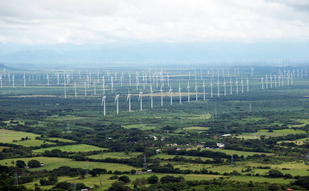 Foto: Edwin Hernández