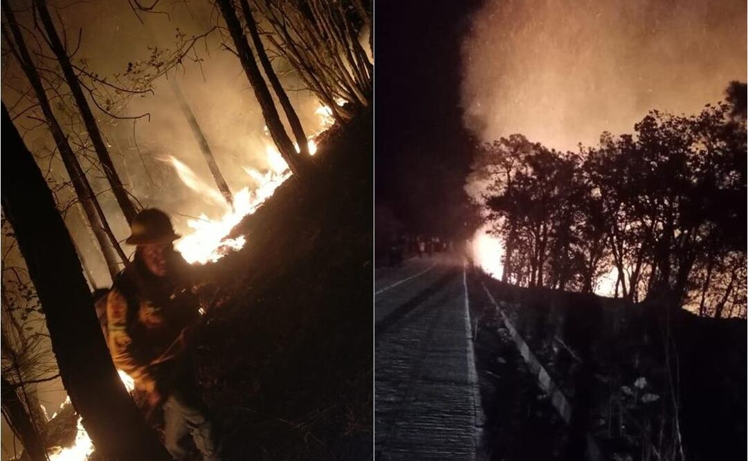 Fuerte incendio consume bosques de Mazaltepec, tras llamado de auxilio gobierno de Oaxaca moviliza brigadas. Fotos: Especial