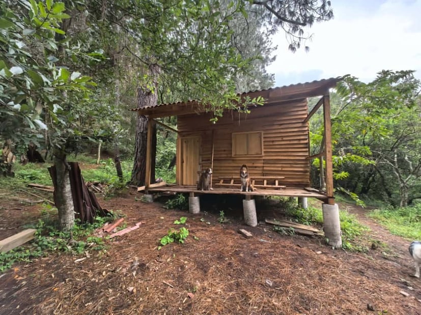 Foto: Archivo EL UNIVERSAL