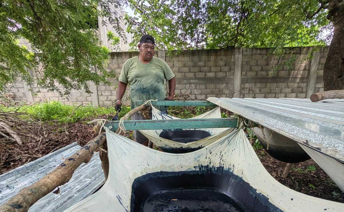 Ante falta de mercado, últimos productores de añil en Oaxaca enfrentan "coyotaje" y caída de precios. Fotos: Roselia Chaca
