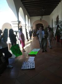 Animalistas acusan a edil de Oaxaca de no atender sobrepoblación de animales