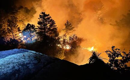 Organizaciones aseguran que no ha sido eficaz respuesta del gobierno de Oaxaca ante incendios