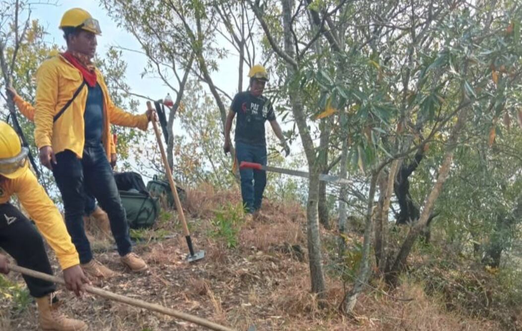 Duplican en Oaxaca número de combatientes para enfrentar incendio en Lachiguiri