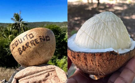 Coquito barreño, el manjar del Istmo que conquista paladares en Oaxaca