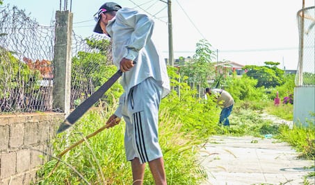 Impulsarán productividad para migrantes este 2020 de la mano de Bienestar: Solalinde