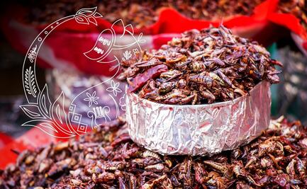 ¿Cómo se comen los chapulines en Oaxaca? Platillos con un toque del insecto prehispánico
