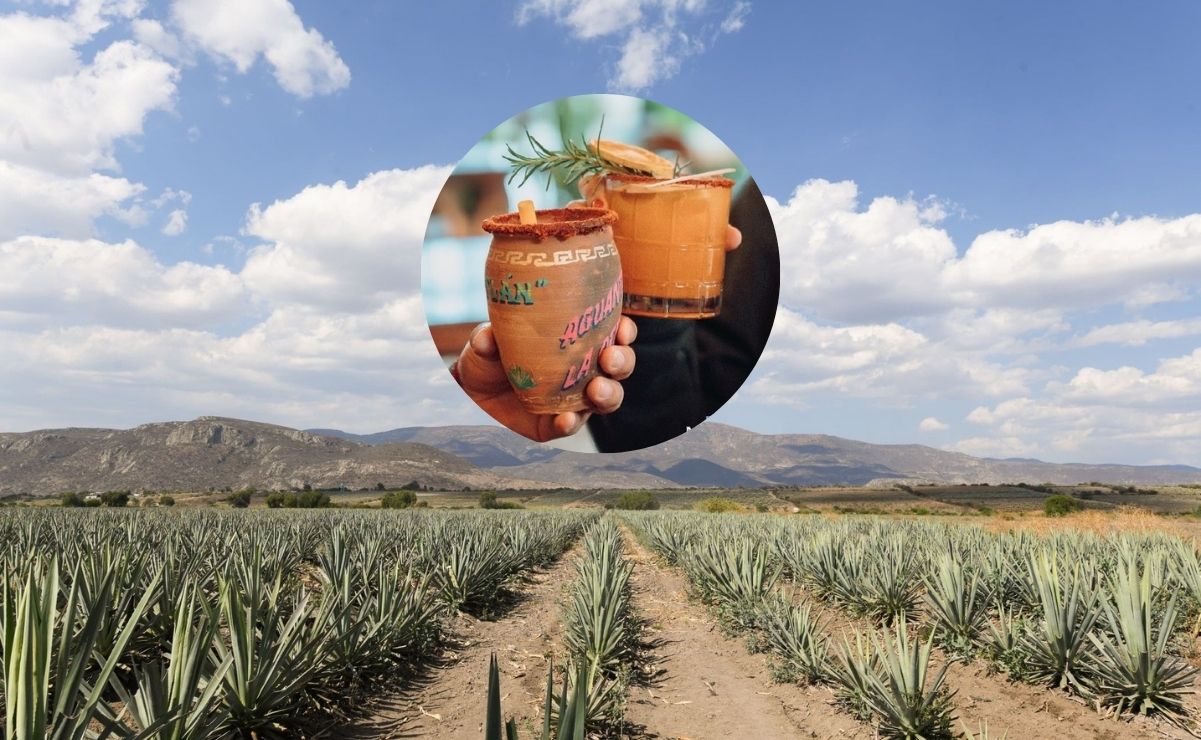 Pueblo del mezcal en Oaxaca. Foto: Secretaría de Turismo de Oaxaca y el Rey de Matatlán, Instagram