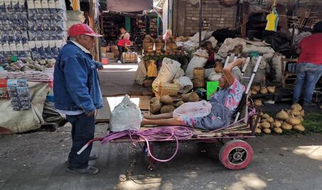 Organizaciones exigen garantizar abasto de alimentos para campesinos indígenas ante pandemia