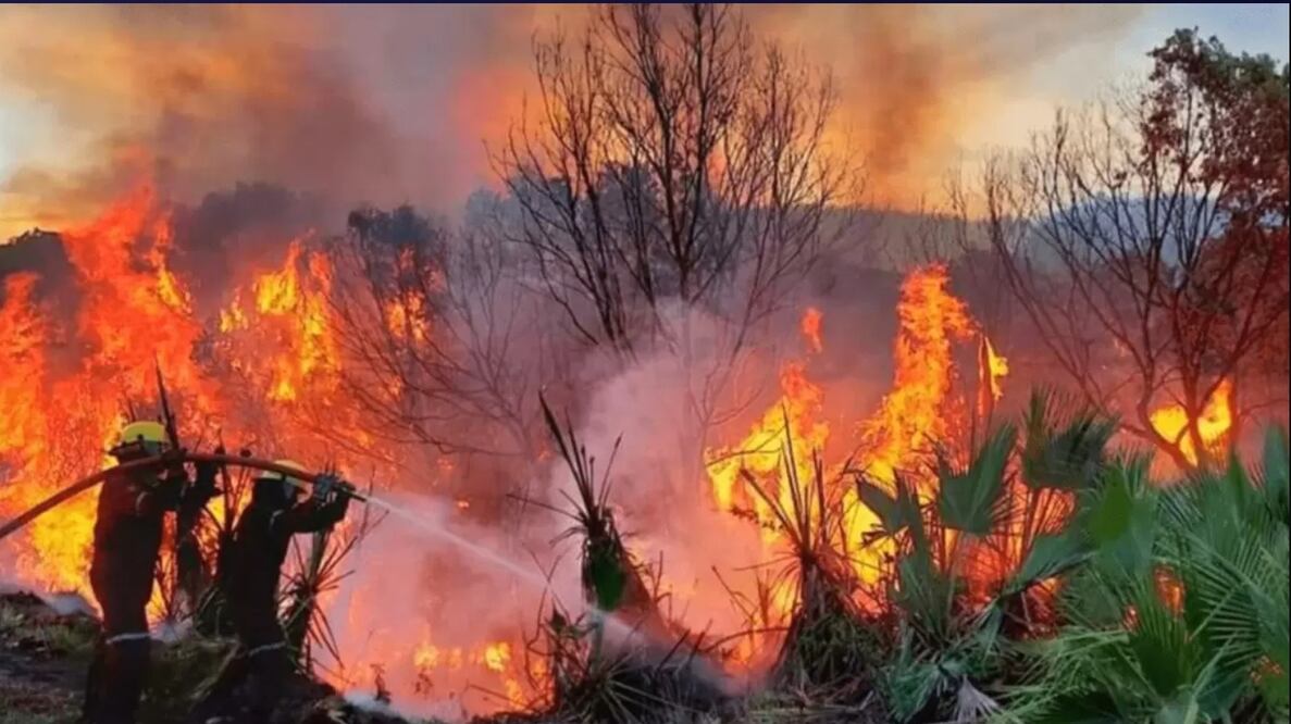 Registra Tuxtepec, Oaxaca 40 incendios de pastizales en los últimos 4 meses. Foto: Especial