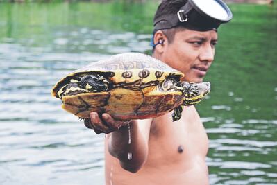 Chinantecos, en guardia por santuario tortuguero en Oaxaca