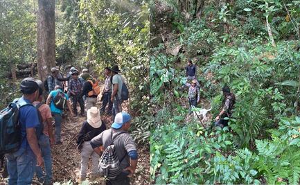Intensifican búsqueda de Génesis Keylani, niña de 12 años, desaparecida en Oaxaca