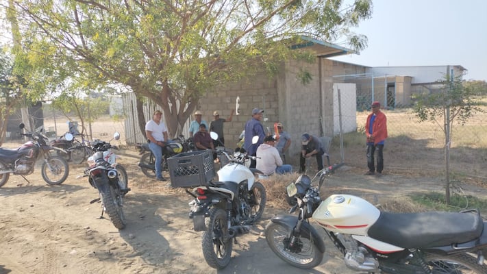 Productores de mango exigen pago de precios justos; bloquean accesos a dos empacadoras en Oaxaca