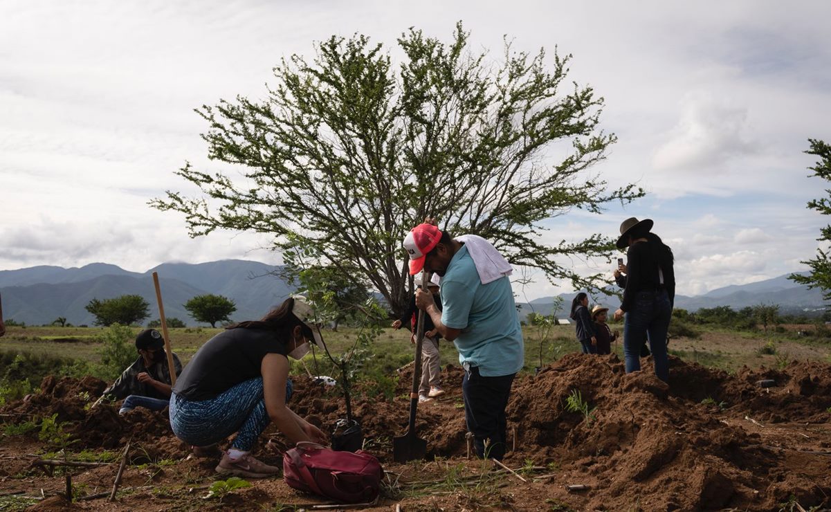 Fotos: Mario Arturo Martínez / EL UNIVERSAL