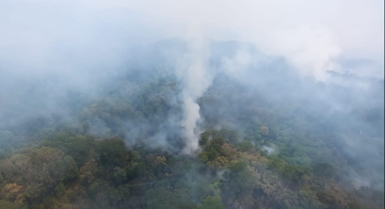 Sin control 3 de los 5 incendios que devoran selva de Los Chimalapas en Oaxaca; nadie los combate