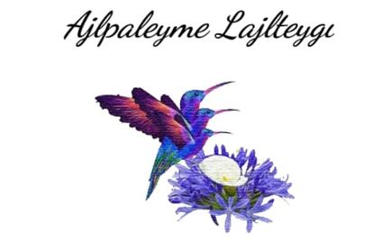 Crean app móvil para salvaguardar lengua lajteygi de Oaxaca, en alto riesgo de extinción