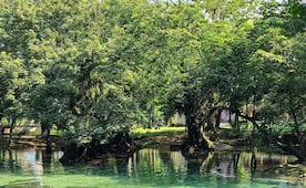 Monte Flor, el balneario con albercas naturales que podrás disfrutar por sólo 50 pesos en Oaxaca 