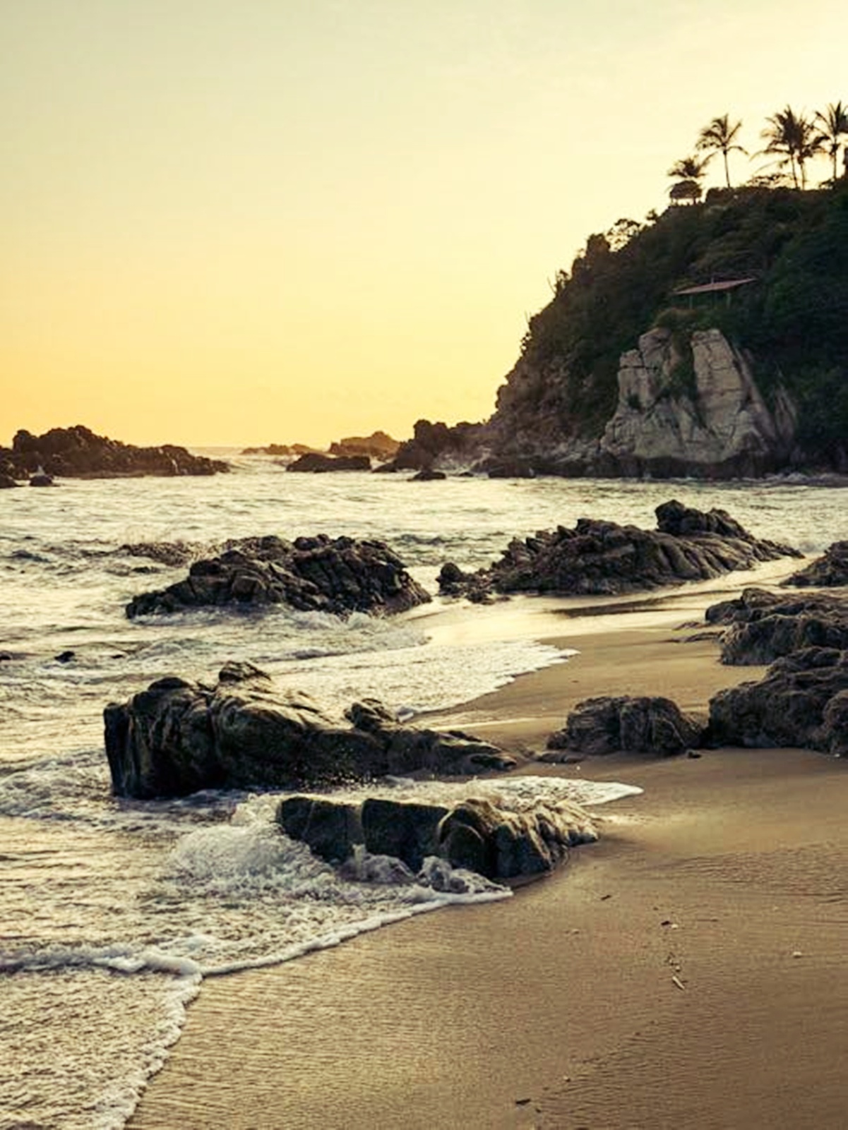 Foto: Frank Coronado.