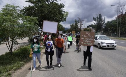 Juez ordena detener la tala de mil 500 árboles en obra de ampliación de Símbolos Patrios, Oaxaca
