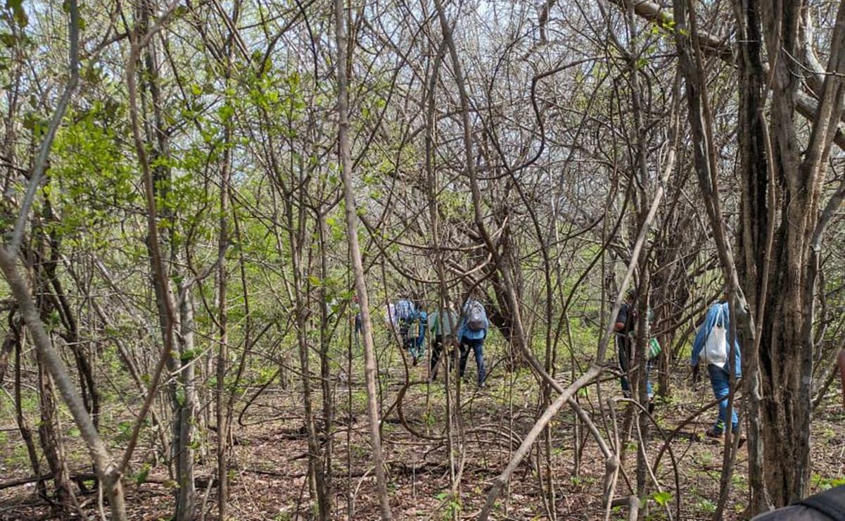 Tras incendios en Oaxaca, decretan veda para caza de venado y armadillo en Los Chimalapas