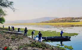 Ganan amparo que ordena al edil de Huajuapan resolver la plaga de lirio en la presa de Yosocuta