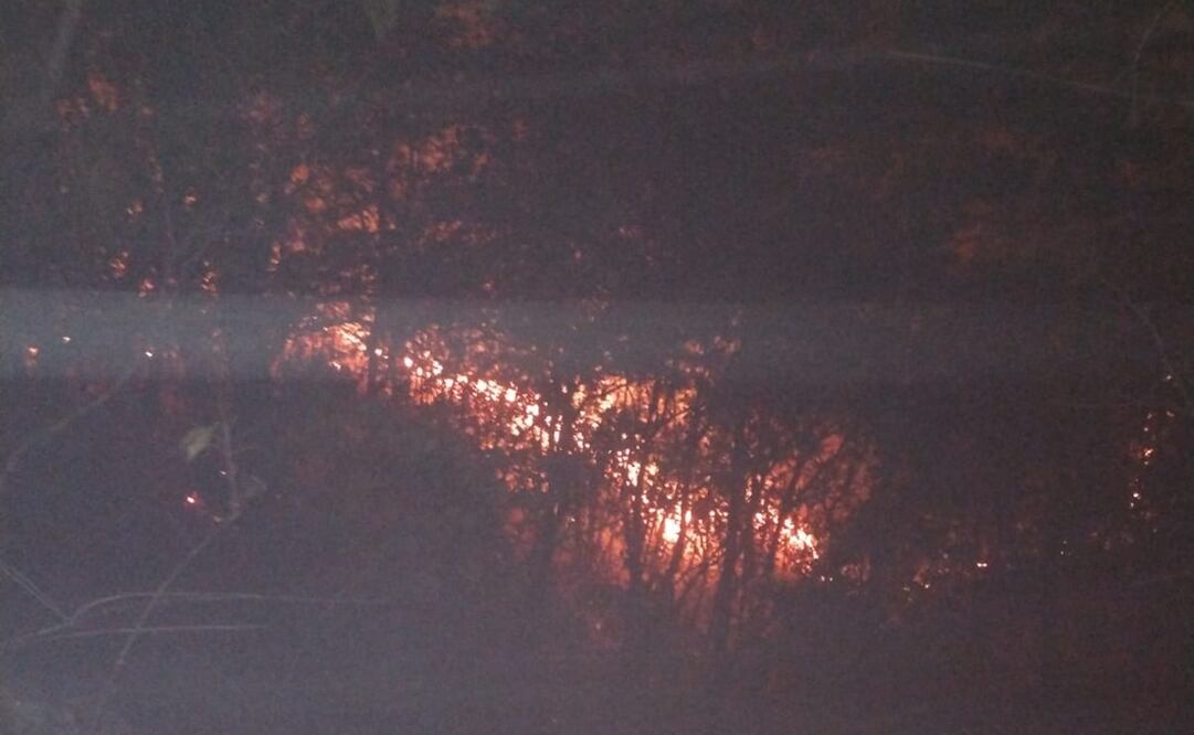 Sin control, incendio en Los Chimalapas, Oaxaca; piden apoyo aéreo para sofocar el fuego. Foto: Especial