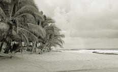 Asesinan a Rufina frente a su restaurante en la playa Agua Blanca; Oaxaca suma 60 muertes violentas de mujeres este año