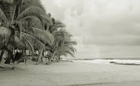 Asesinan a Rufina frente a su restaurante en la playa Agua Blanca; Oaxaca suma 60 muertes violentas de mujeres este año